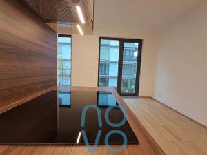 Pronájem bytu 1+kk, Praha - Hodkovičky, Šenácká, 39 m2