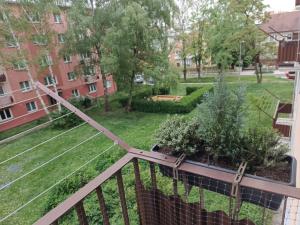 Pronájem bytu 3+1, Olomouc - Neředín, Dělnická, 72 m2