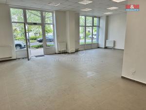 Pronájem obchodního prostoru, Strakonice - Strakonice I, Bahenní, 68 m2