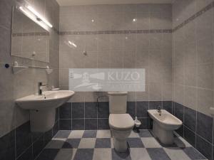 Pronájem bytu 2+kk, Praha, Ladova, 73 m2