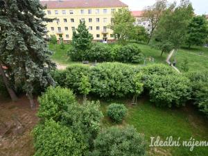 Pronájem bytu 2+1, Brno, Jindřichova, 61 m2