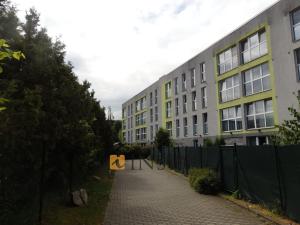 Pronájem bytu 1+kk, Beroun - Beroun-Město, U Archivu, 24 m2