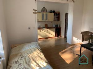 Pronájem bytu 1+1, Město Albrechtice, nám. ČSA, 41 m2