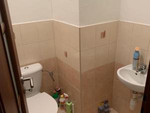 Pronájem bytu 1+1, Město Albrechtice, nám. ČSA, 41 m2