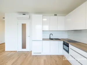 Pronájem bytu 1+kk, Praha - Žižkov, Basilejské náměstí, 42 m2