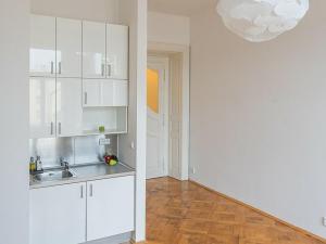 Pronájem bytu 1+kk, Praha - Staré Město, Martinská, 32 m2