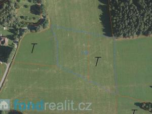 Prodej pole, Zdíkov - Branišov, 10244 m2