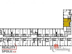Prodej bytu 1+kk, Plzeň - Východní Předměstí, Zahradní, 60 m2