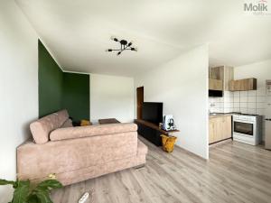 Pronájem bytu 2+1, Osek, Hrdlovská, 52 m2