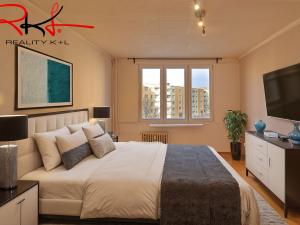 Prodej bytu 2+1, Roudnice nad Labem, Alej 17. listopadu, 62 m2