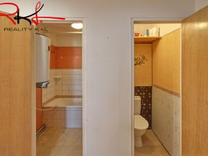 Prodej bytu 2+1, Roudnice nad Labem, Alej 17. listopadu, 62 m2