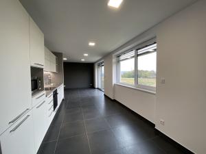 Pronájem bytu 2+kk, Mladá Boleslav - Čejetice, Nad Červenkou, 60 m2