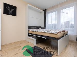 Pronájem bytu 1+kk, Pardubice, Boženy Vikové-Kunětické, 28 m2