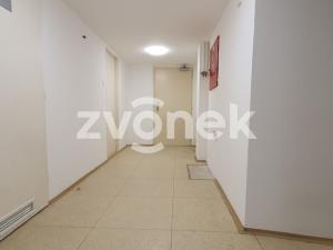 Pronájem obchodního prostoru, Zlín, 370 m2