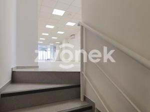 Pronájem obchodního prostoru, Zlín, 370 m2