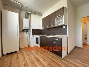 Pronájem bytu 2+1, Albrechtice, Hornická, 51 m2