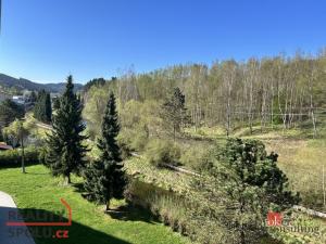 Prodej bytu 3+1, Kraslice, Družstevní, 62 m2
