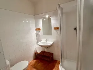 Prodej rodinného domu, Zlatá Koruna, 500 m2