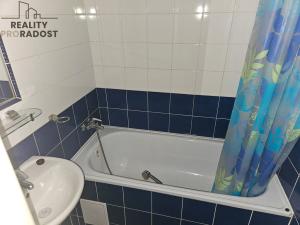Prodej bytu 1+1, Duchcov, Družby, 35 m2