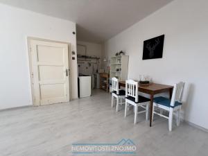 Pronájem bytu 1+kk, Znojmo, Růženy Svobodové, 30 m2