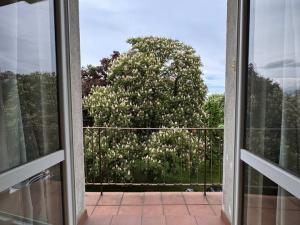 Pronájem bytu 2+1, Praha - Záběhlice, Jabloňová, 43 m2