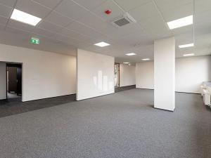 Pronájem kanceláře, Ostrava, Slavíkova, 500 m2
