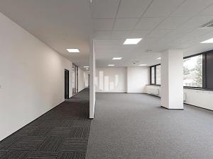Pronájem kanceláře, Ostrava, Slavíkova, 500 m2