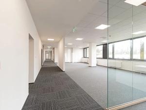 Pronájem kanceláře, Ostrava, Slavíkova, 1000 m2