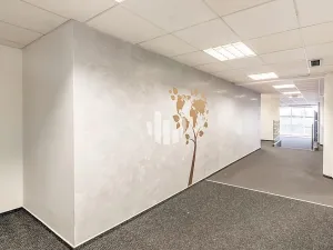 Pronájem kanceláře, Praha - Nové Město, Krakovská, 300 m2