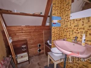 Prodej chaty, Vítkov - Zálužné, 55 m2