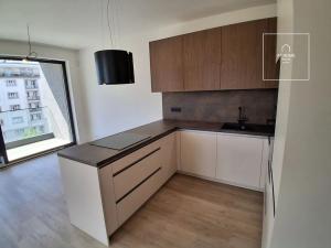 Pronájem bytu 3+kk, Praha - Žižkov, Tetauerova, 92 m2