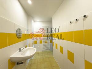 Pronájem bytu 2+1, Teplice, Alejní, 67 m2