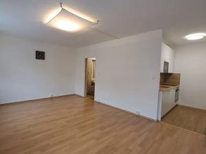 Prodej bytu 1+kk, Praha - Žižkov, V zahrádkách, 33 m2