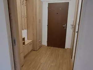 Prodej bytu 1+kk, Praha - Žižkov, V zahrádkách, 33 m2