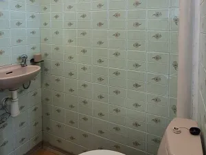 Prodej rodinného domu, Moravská Třebová, J. K. Tyla, 114 m2
