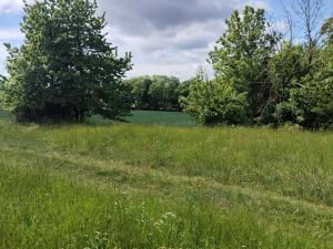 Prodej pozemku pro bydlení, Měrotín, 3254 m2
