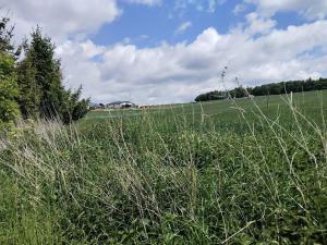 Prodej pozemku pro bydlení, Měrotín, 3254 m2