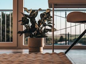 Prodej bytu 4+kk, Plzeň - Černice, Nepomucká, 190 m2