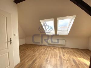 Pronájem bytu 1+kk, Brno - Černovice, Řehořova, 30 m2