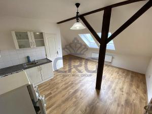 Pronájem bytu 1+kk, Brno - Černovice, Řehořova, 30 m2
