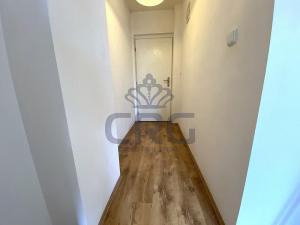 Pronájem bytu 1+kk, Brno - Černovice, Řehořova, 30 m2