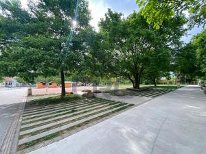 Pronájem bytu 1+kk, Brno - Černovice, Řehořova, 30 m2