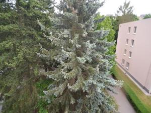 Pronájem bytu 3+kk, Praha - Prosek, Bohušovická, 67 m2