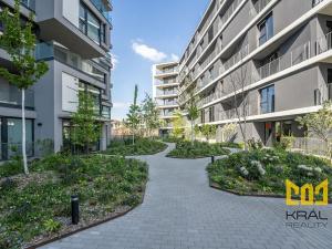Pronájem bytu 1+kk, Praha - Strašnice, Ramonova, 66 m2