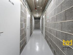Pronájem bytu 1+kk, Praha - Strašnice, Ramonova, 66 m2