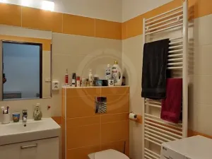 Pronájem bytu 2+1, České Budějovice, Puklicova, 57 m2