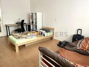 Pronájem bytu 1+1, Brno, Mezírka, 48 m2