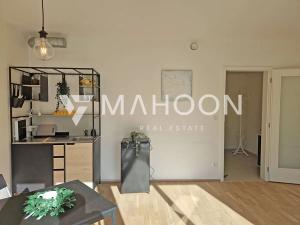 Pronájem bytu 1+kk, Praha - Hodkovičky, Šenácká, 45 m2