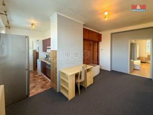 Pronájem bytu 3+kk, Dolní Újezd, 69 m2