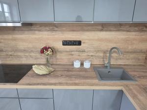 Pronájem bytu 3+kk, Česká Lípa, Erbenova, 70 m2